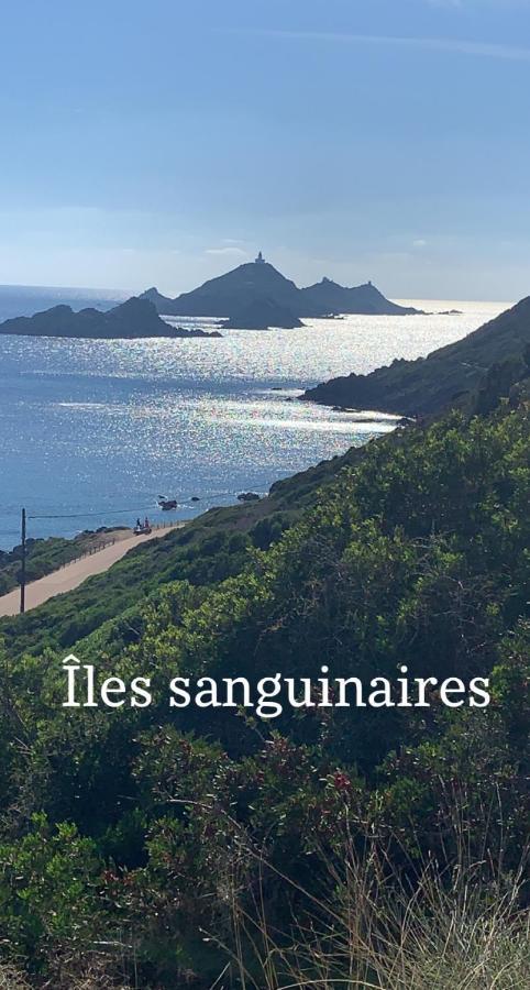 Magnifique Appartement Vue Mer, Spacieux Et Traversant Ajaccio  Luaran gambar