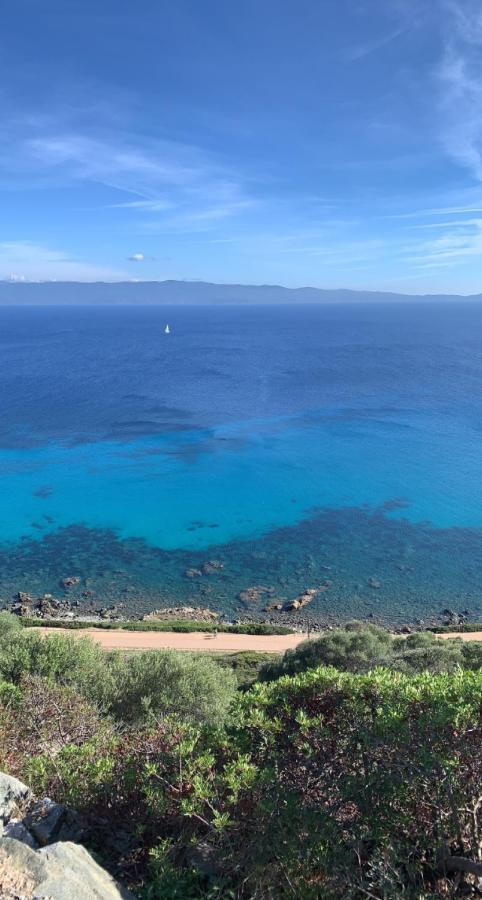 Magnifique Appartement Vue Mer, Spacieux Et Traversant Ajaccio  Luaran gambar